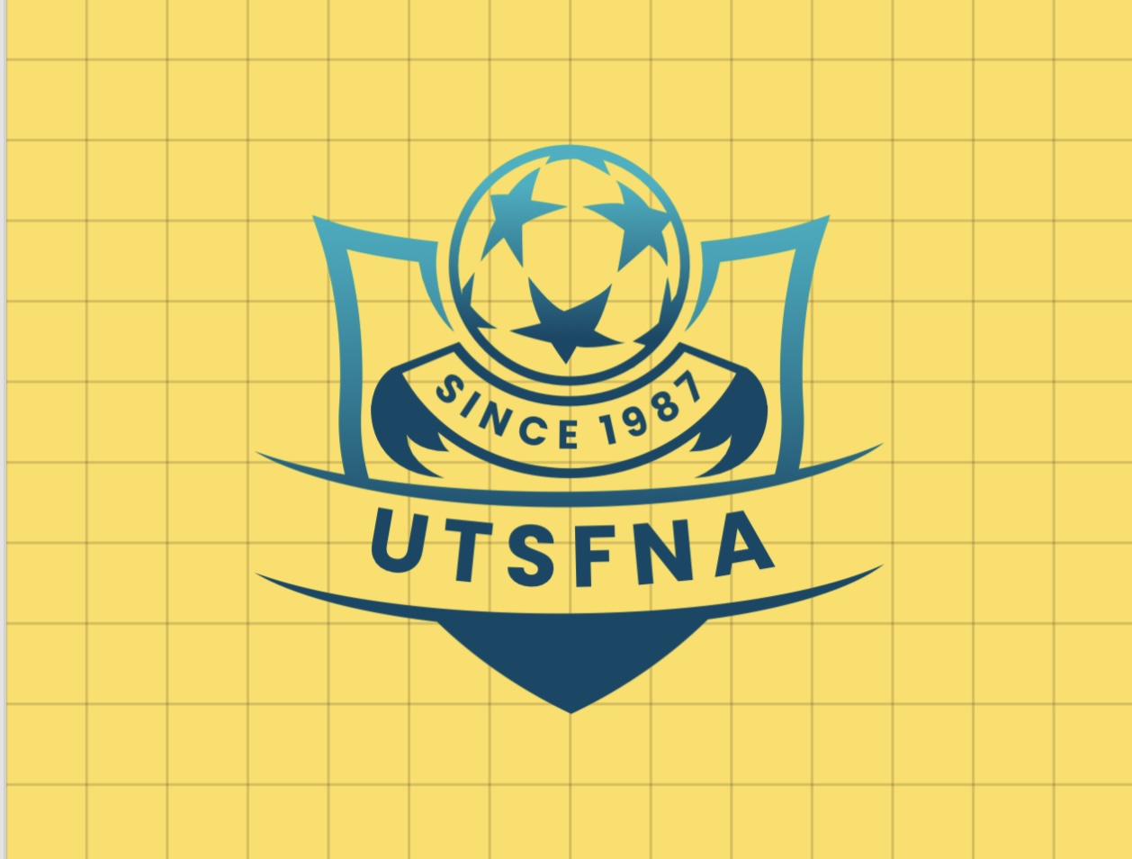 Union of Tigreans Sport Federation  in NA Since 1987